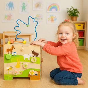 Motor Activity Cube Country Life-Motor Activity Cube Country Life