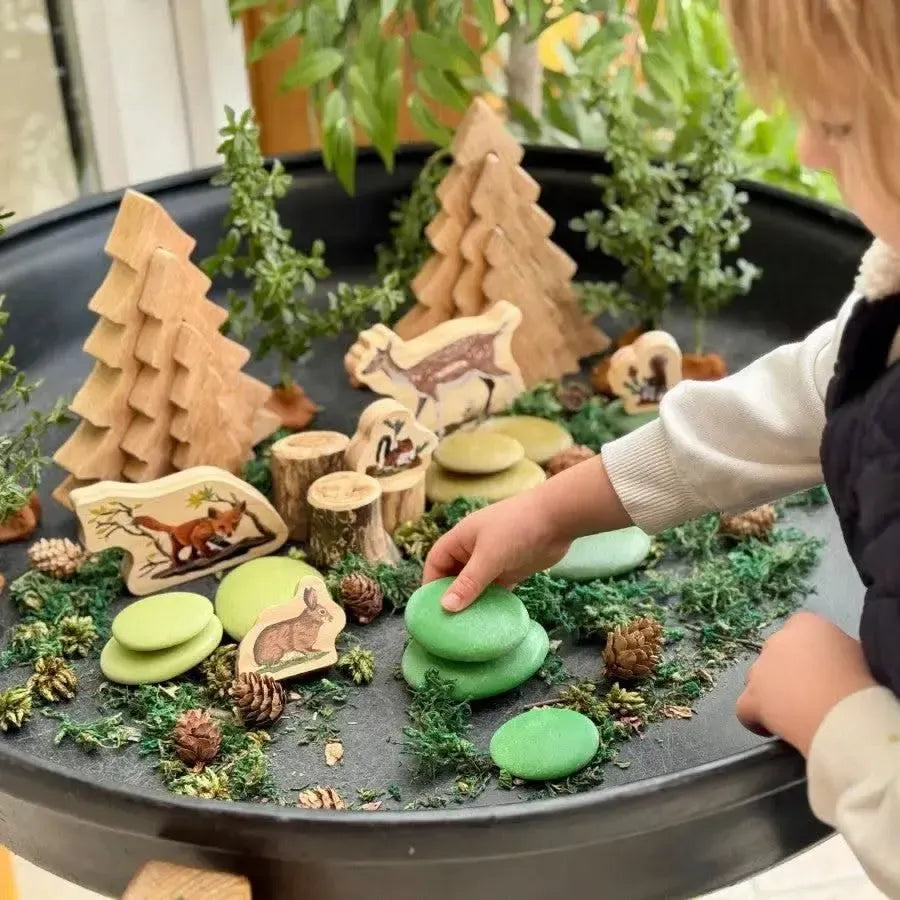 Natural Sorting Stones Nature Collection-Natural Sorting Stones Nature Collection