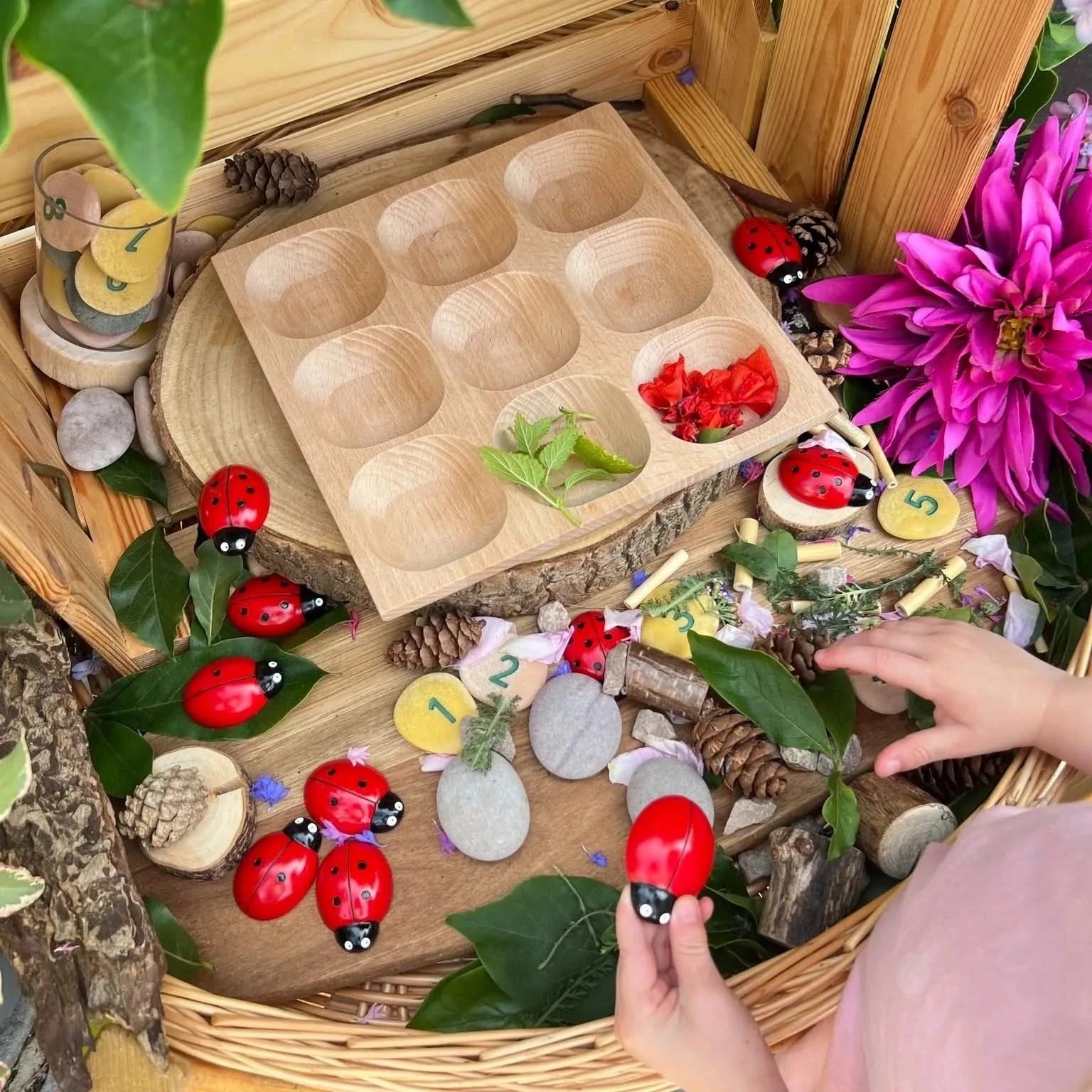 Natural Wood Sorting Tray-Natural Wood Sorting Tray