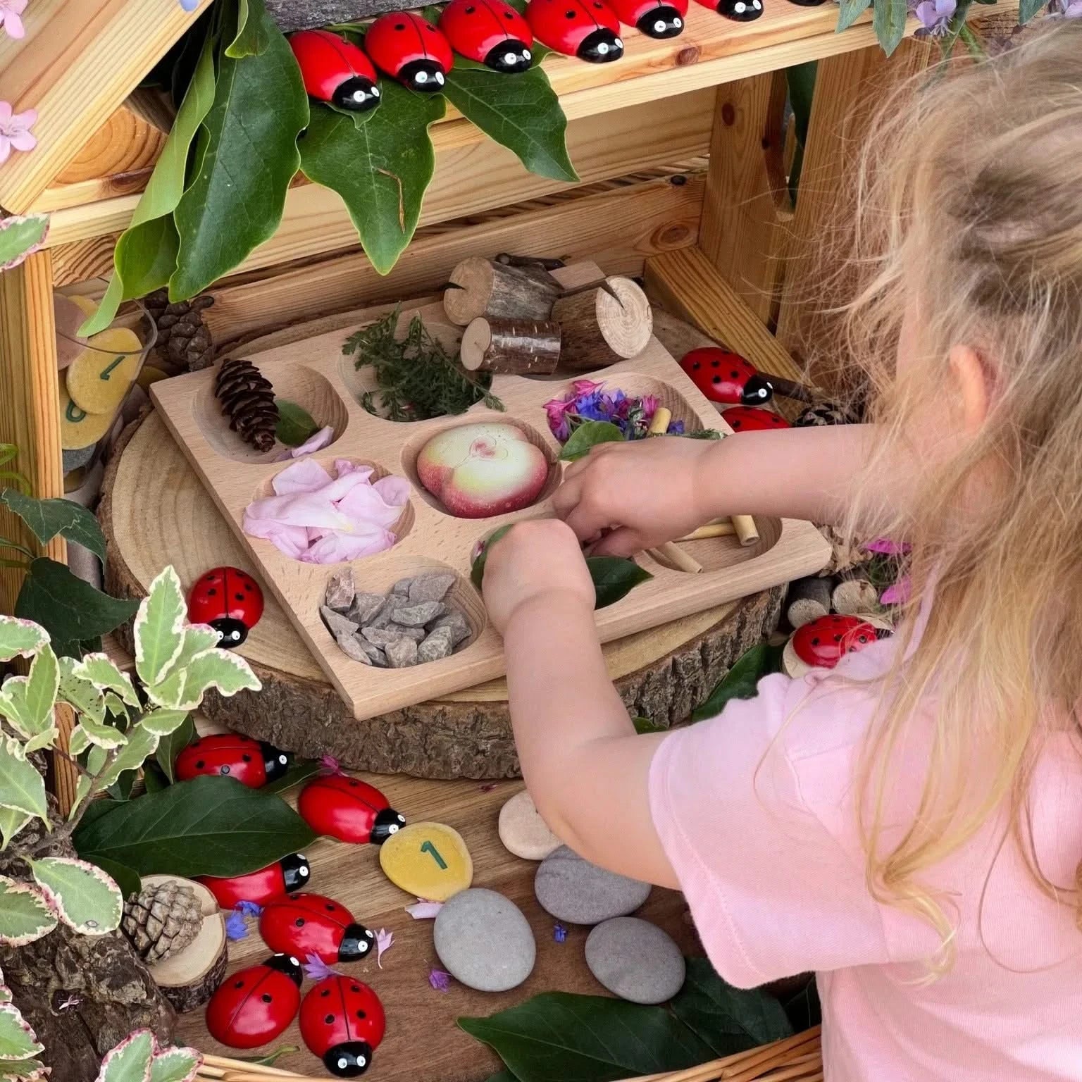 Natural Wood Sorting Tray-Natural Wood Sorting Tray