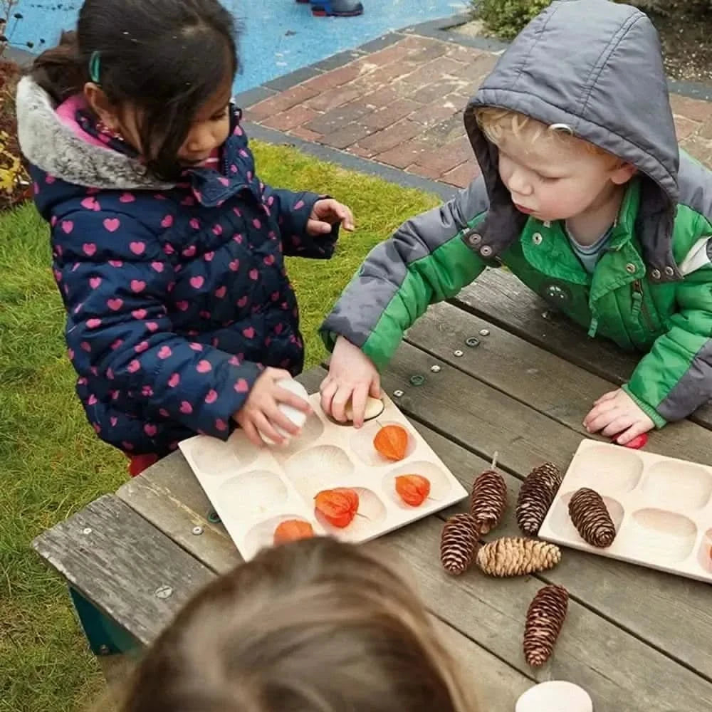 Natural Wood Sorting Tray-Natural Wood Sorting Tray