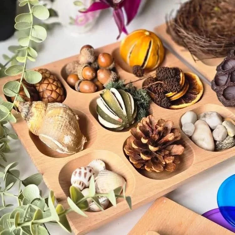 Natural Wood Sorting Tray-Natural Wood Sorting Tray