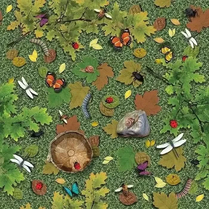 Natural World Woodland and Minibeasts Double Sided Carpet-Natural World Woodland and Minibeasts Double Sided Carpet