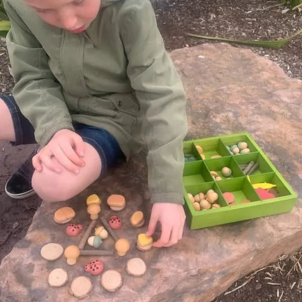 Natures Sorting Box-Natures Sorting Box