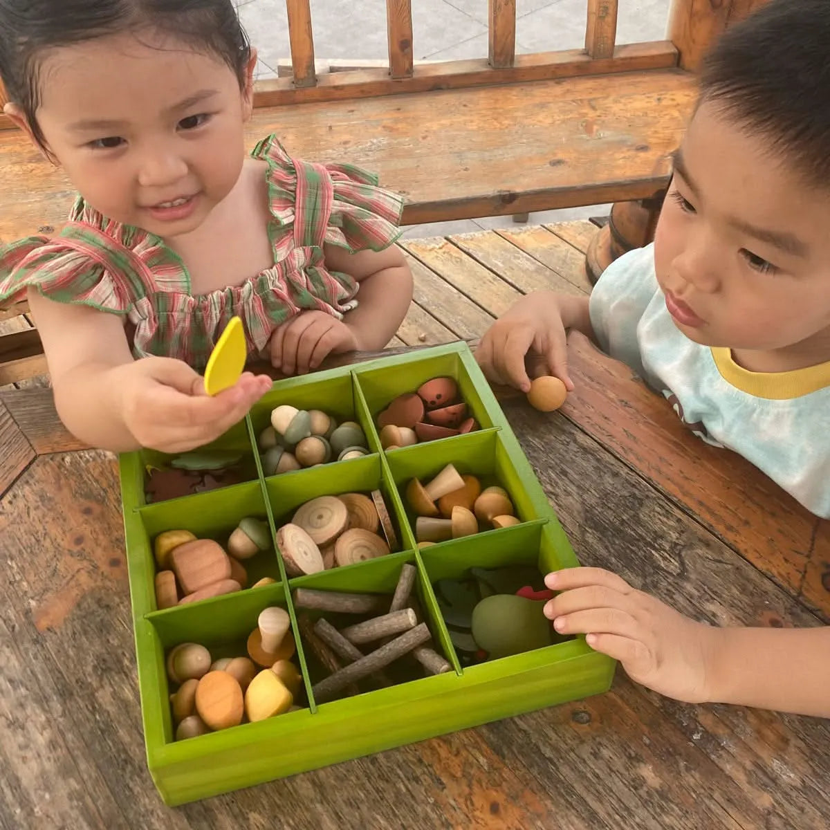 Natures Sorting Box-Natures Sorting Box