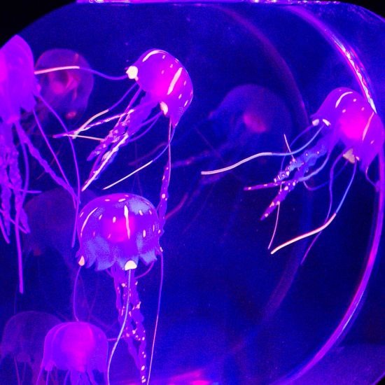 Neon Jellyfish Oval Tank Mood Light, The Neon Jellyfish Oval Tank Mood Light is an opportunity to enjoy the aesthetics and the tranquillity that an aquarium brings to the home, without the mess and the fuss of caring for living animals. No feeding or cleaning needed! These Jellyfish look after themselves, whilst you simply just sit back and enjoy viewing them. The Neon Jellyfish Oval Tank Mood Light is made from high level acrylic material. The Neon Jellyfish Oval Tank Mood Light is a beautifully hypnotic m