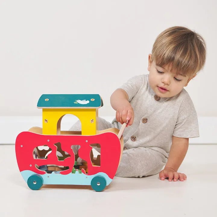 Noah's Shape Sorter Ark-Noah's Shape Sorter Ark