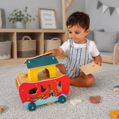 Noah's Shape Sorter Ark-Noah's Shape Sorter Ark