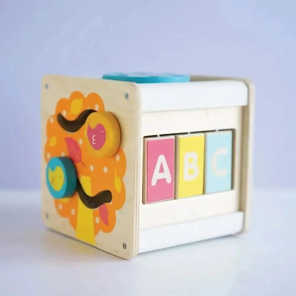 Petit Activity Cube-Petit Activity Cube