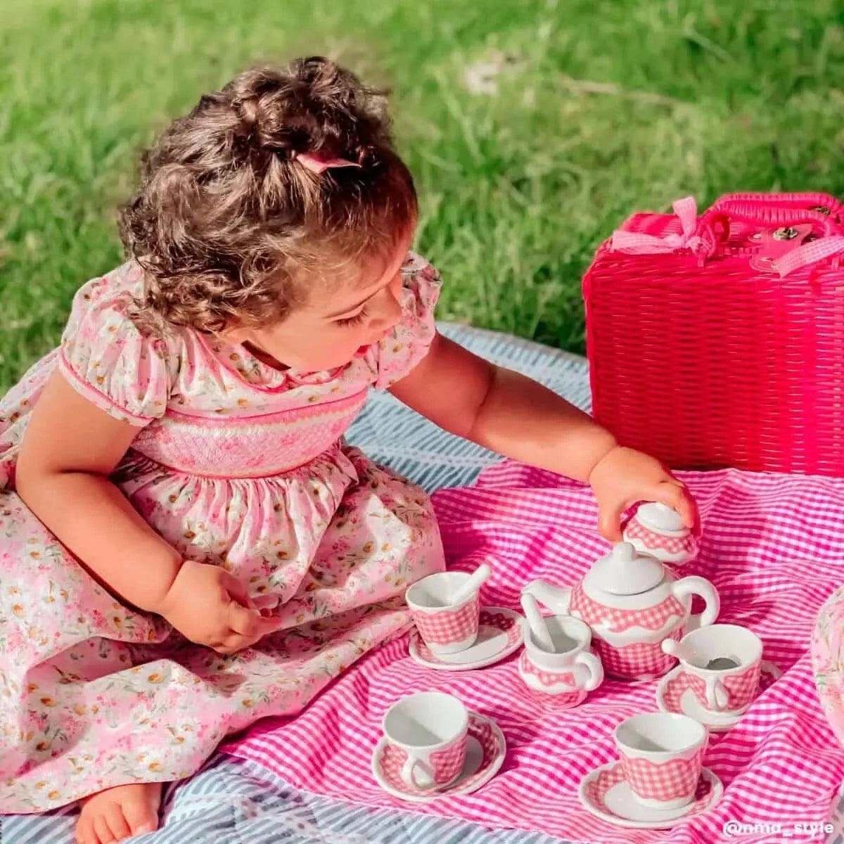 Picnic Tea Set-Picnic Tea Set