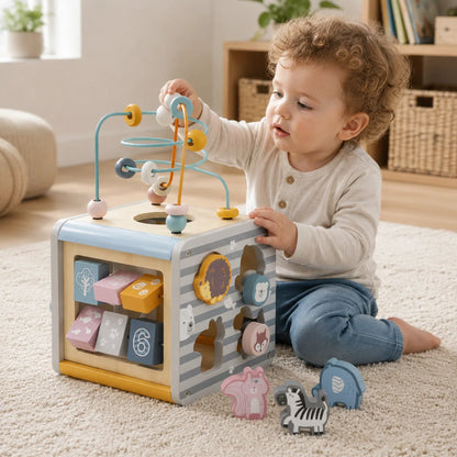 PolarB 5-in-1 Activity Box-PolarB 5-in-1 Activity Box