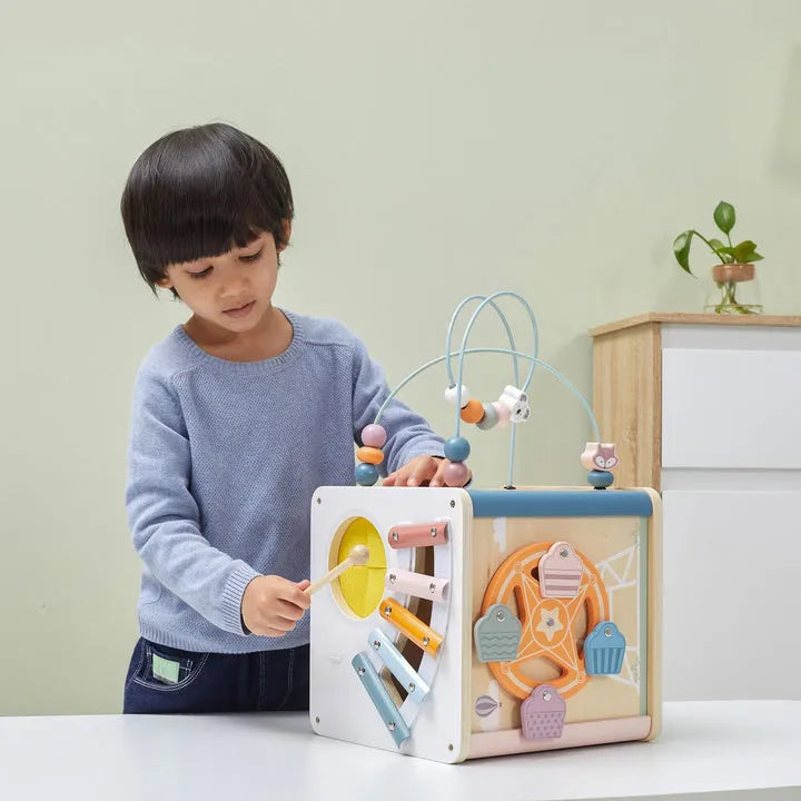 PolarB 8-in-1 Activity Cube-PolarB 8-in-1 Activity Cube
