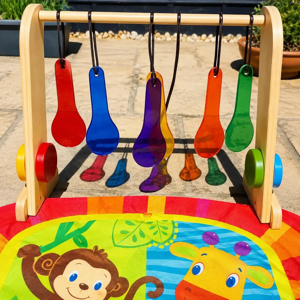 Primary Science Colour Paddles-Primary Science Colour Paddles