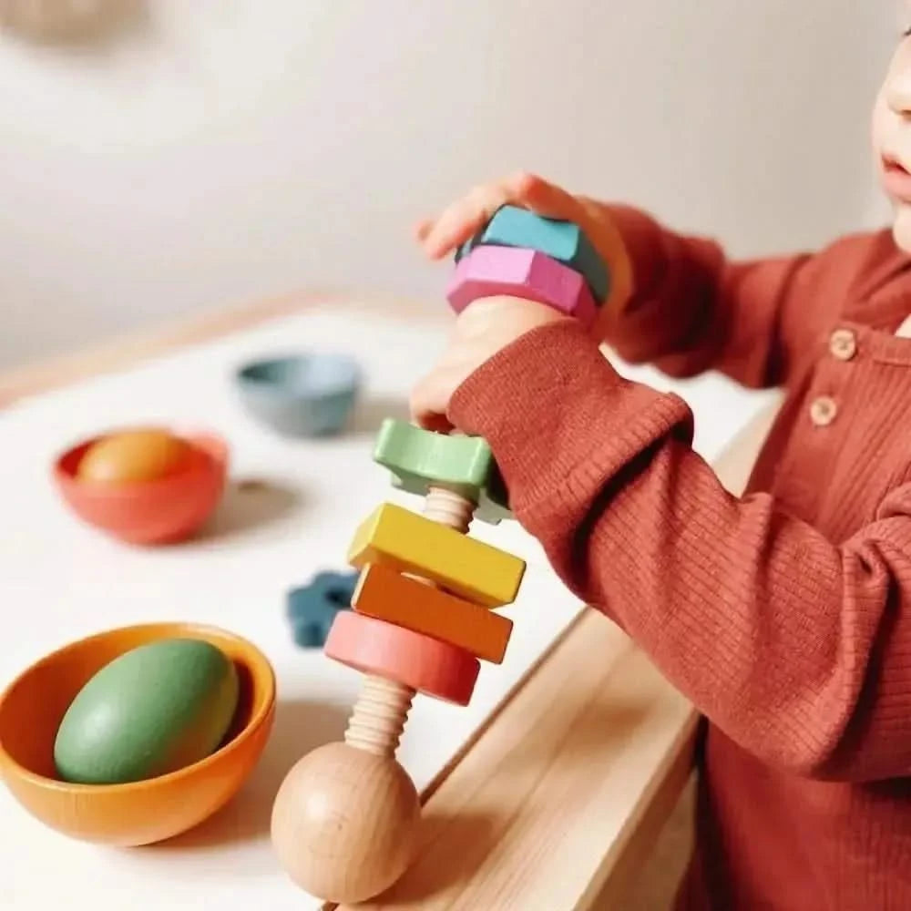 Rainbow Wooden Shape Twister-Rainbow Wooden Shape Twister