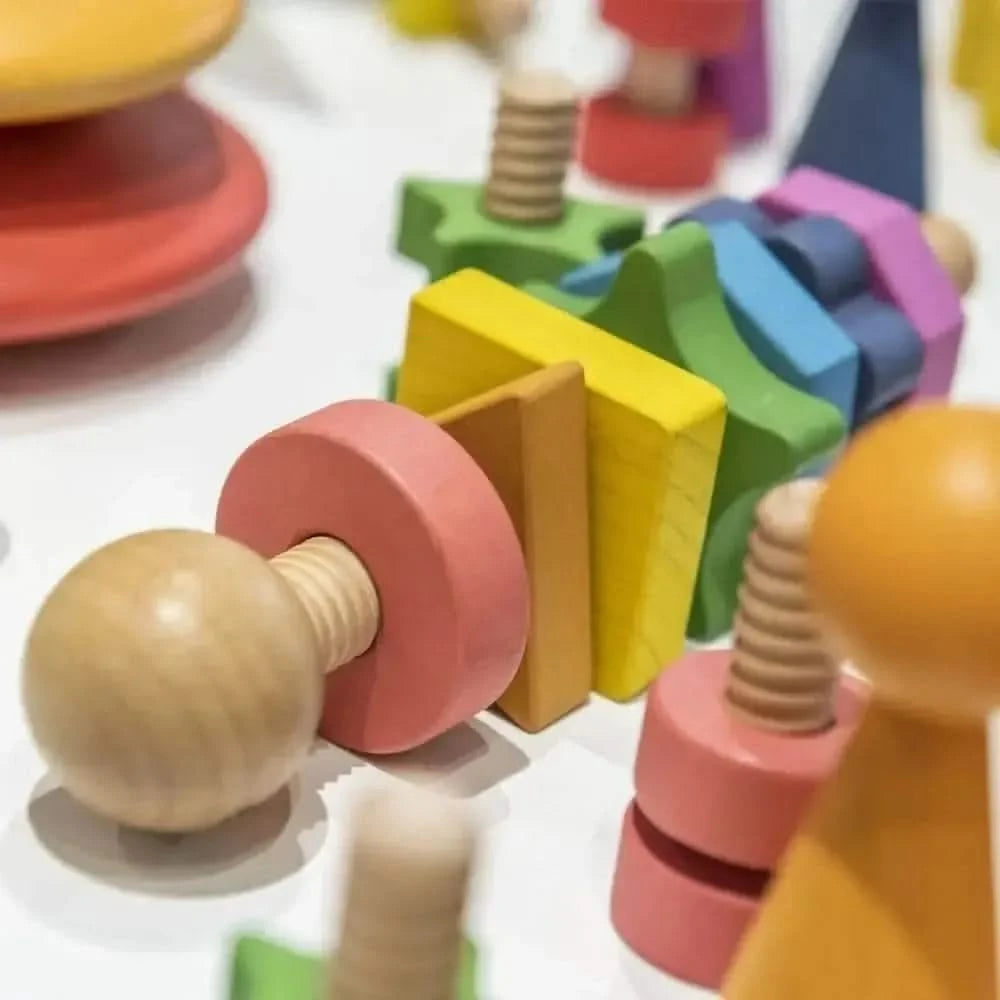 Rainbow Wooden Shape Twister-Rainbow Wooden Shape Twister