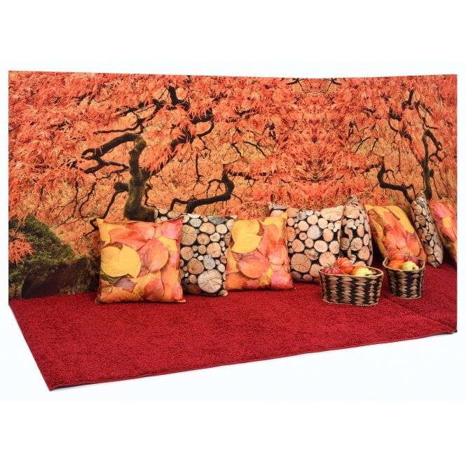 Reflection Corner Autumn Tree, Create a fantastic outdoors area inside with our stunning Reflection Corners which come with 4 nature print scatter cushions. These beautiful scenes can be used in the baby room, or as a reading corner. Each corner comes complete with a wall mirror which will reflect the beautiful rich colours of the scenery and aid small infants to recognise their reflection and being to develop social skills and vocabulary. Our Autumn Tree design is also available as a Spring Tree image, thu
