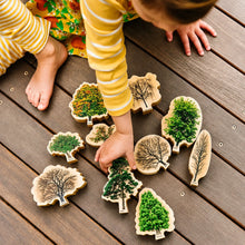 Seasons Wooden Trees Pack of 10-Seasons Wooden Trees Pack of 10