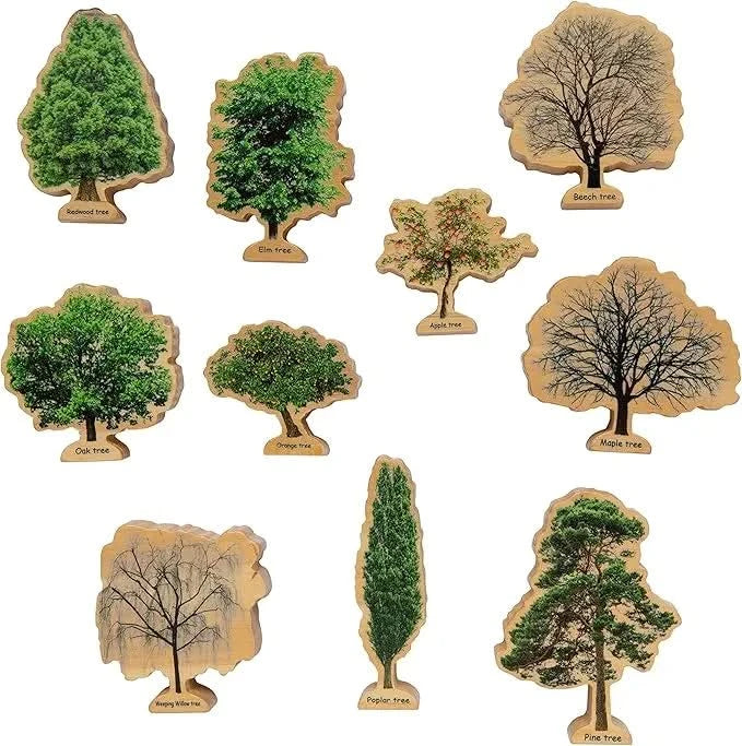 Seasons Wooden Trees Pack of 10-Seasons Wooden Trees Pack of 10
