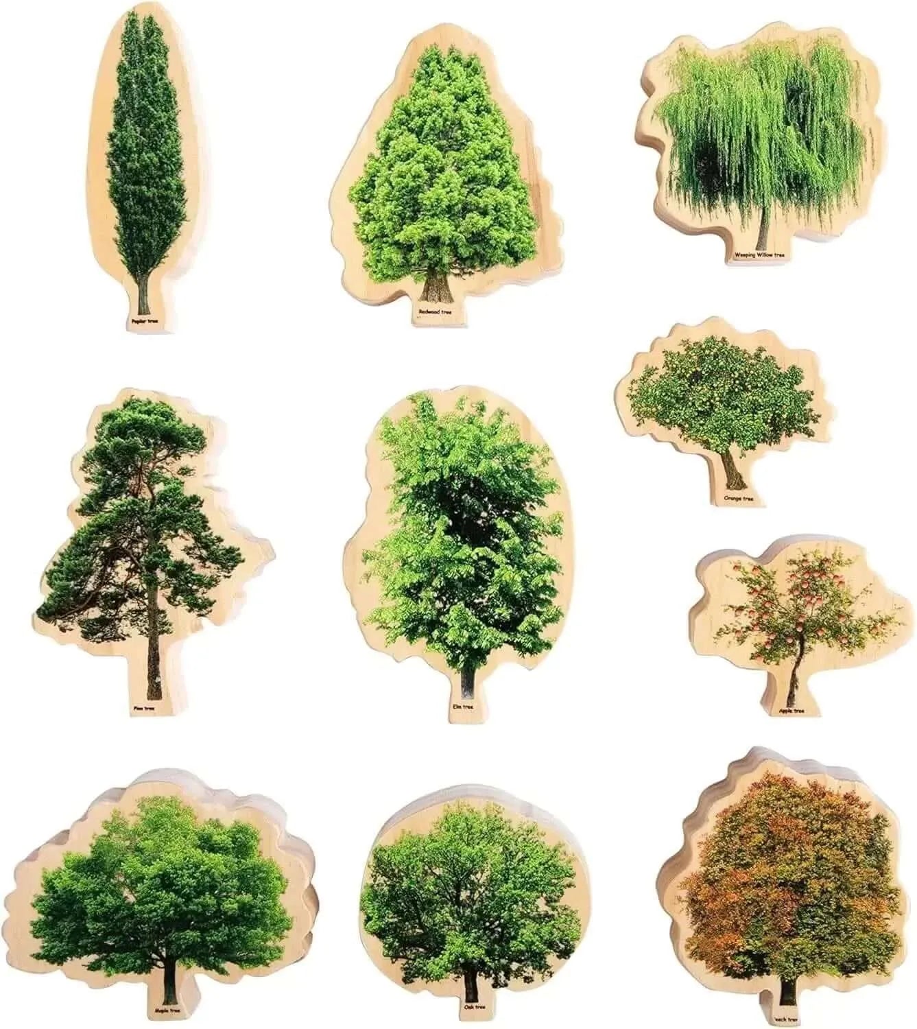 Seasons Wooden Trees Pack of 10-Seasons Wooden Trees Pack of 10