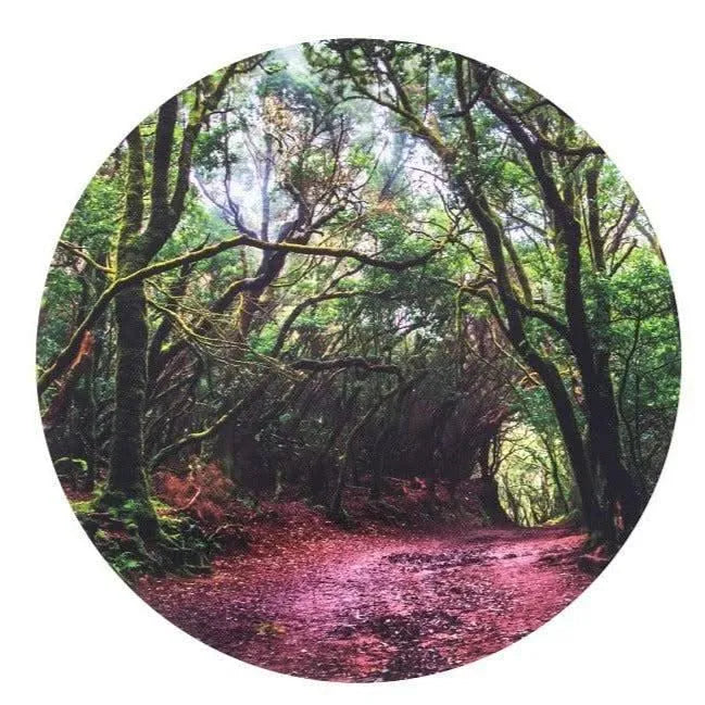 Sensory Mood Discovery Table + Forest Discovery Play Mat-Sensory Mood Discovery Table + Forest Discovery Play Mat