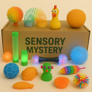 Sensory Mystery Box-Sensory Mystery Box
