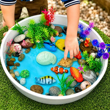 Sensory Play Stones Fish-Sensory Play Stones Fish