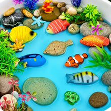 Sensory Play Stones Fish-Sensory Play Stones Fish