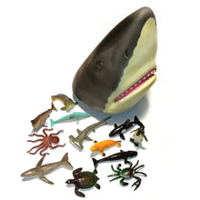 Shark Head Tub - image 1
