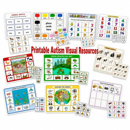 Special needs resource disc volume 1-Special needs resource disc volume 1
