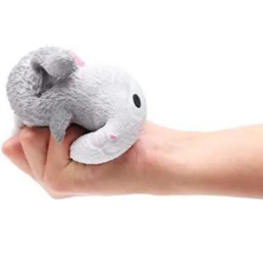 Squidgy Cat-Squidgy Cat