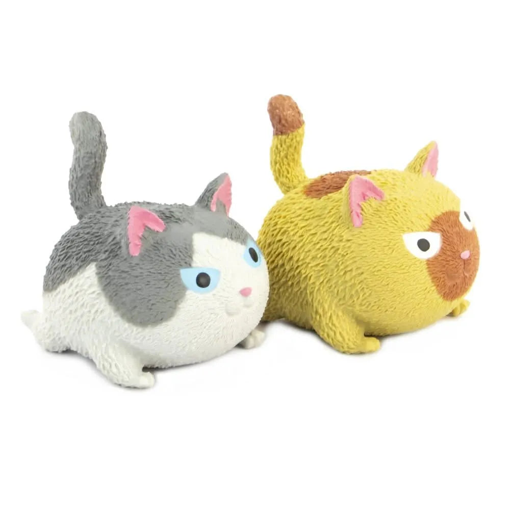 Squidgy Cat-Squidgy Cat
