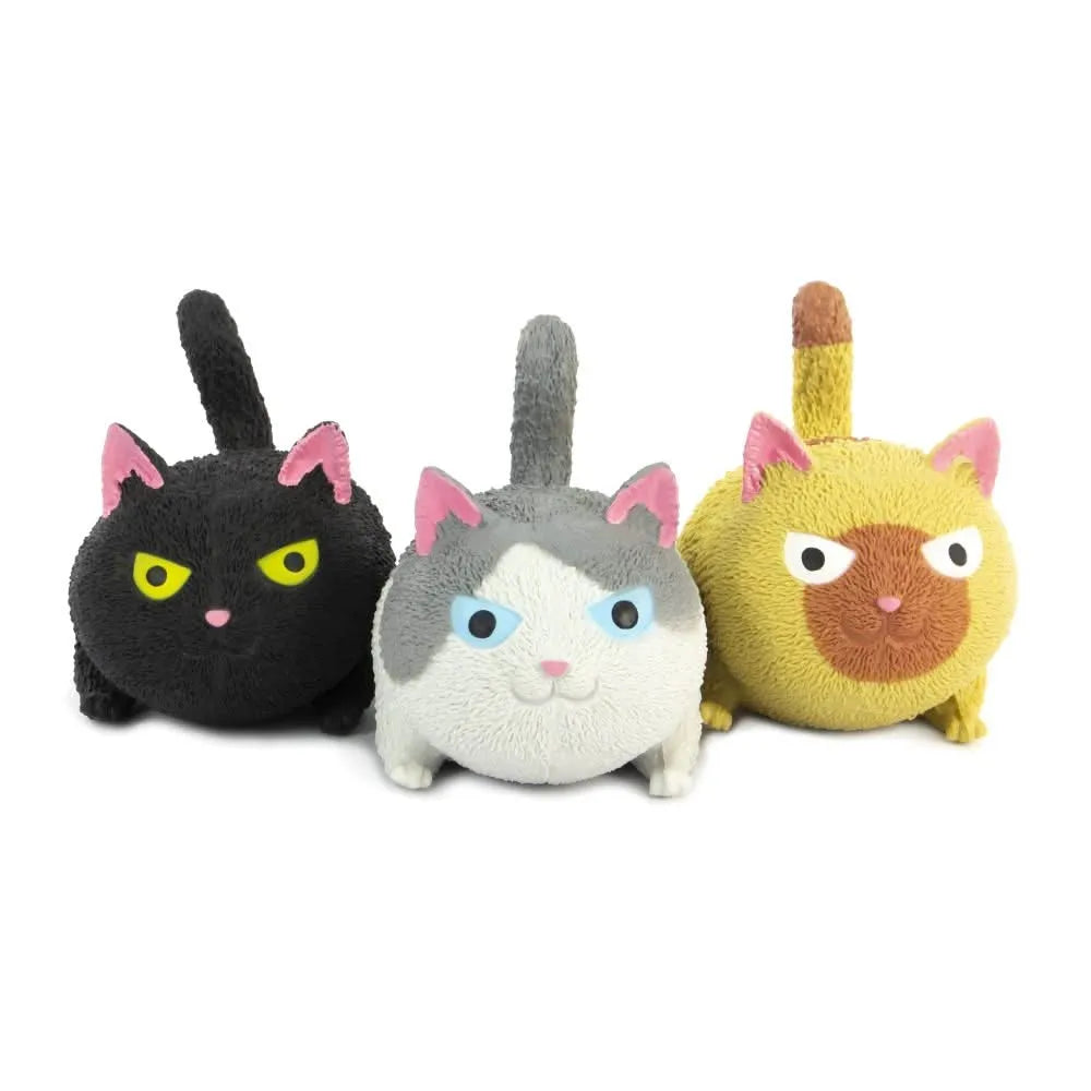 Squidgy Cat-Squidgy Cat