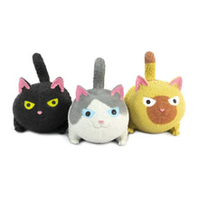 Squidgy Cat-Squidgy Cat