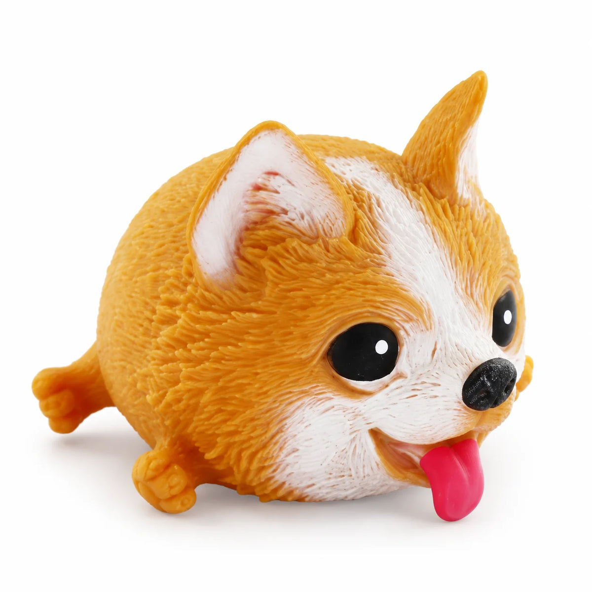 Squidgy Dog-Squidgy Dog