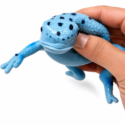 Squishy Frog-Squishy Frog