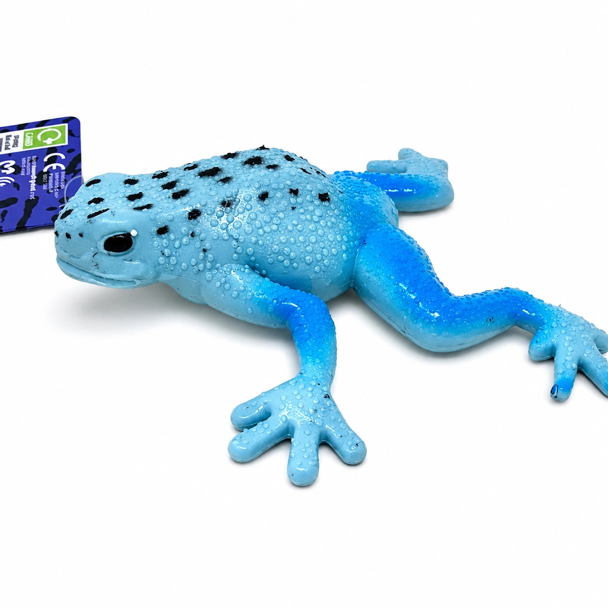 Squishy Frog-Squishy Frog