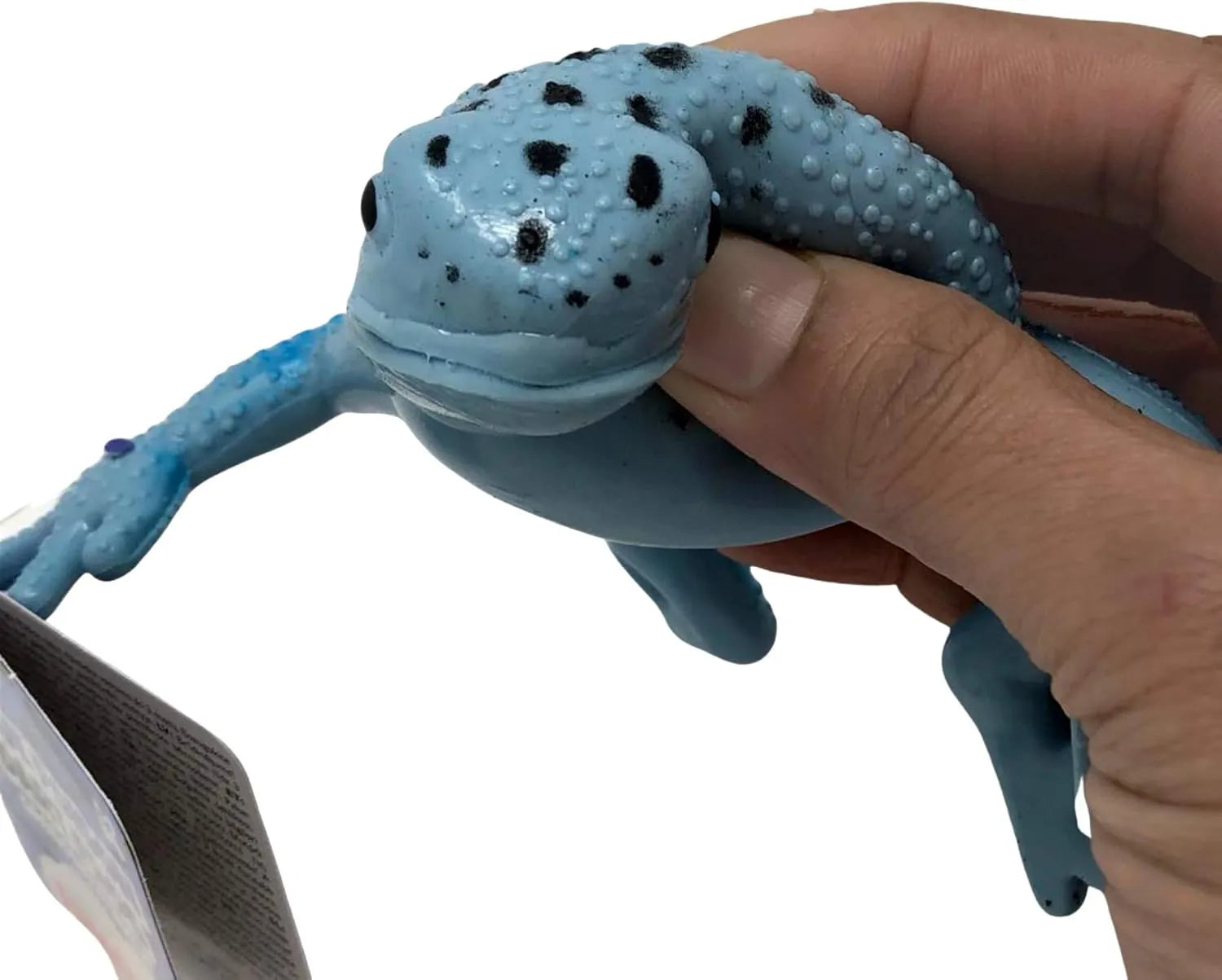 Squishy Frog-Squishy Frog