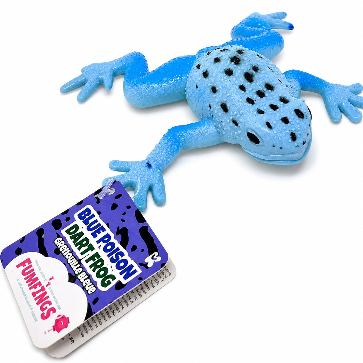 Squishy Frog-Squishy Frog