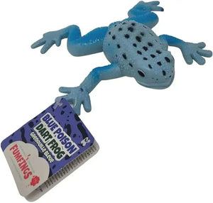 Squishy Frog-Squishy Frog