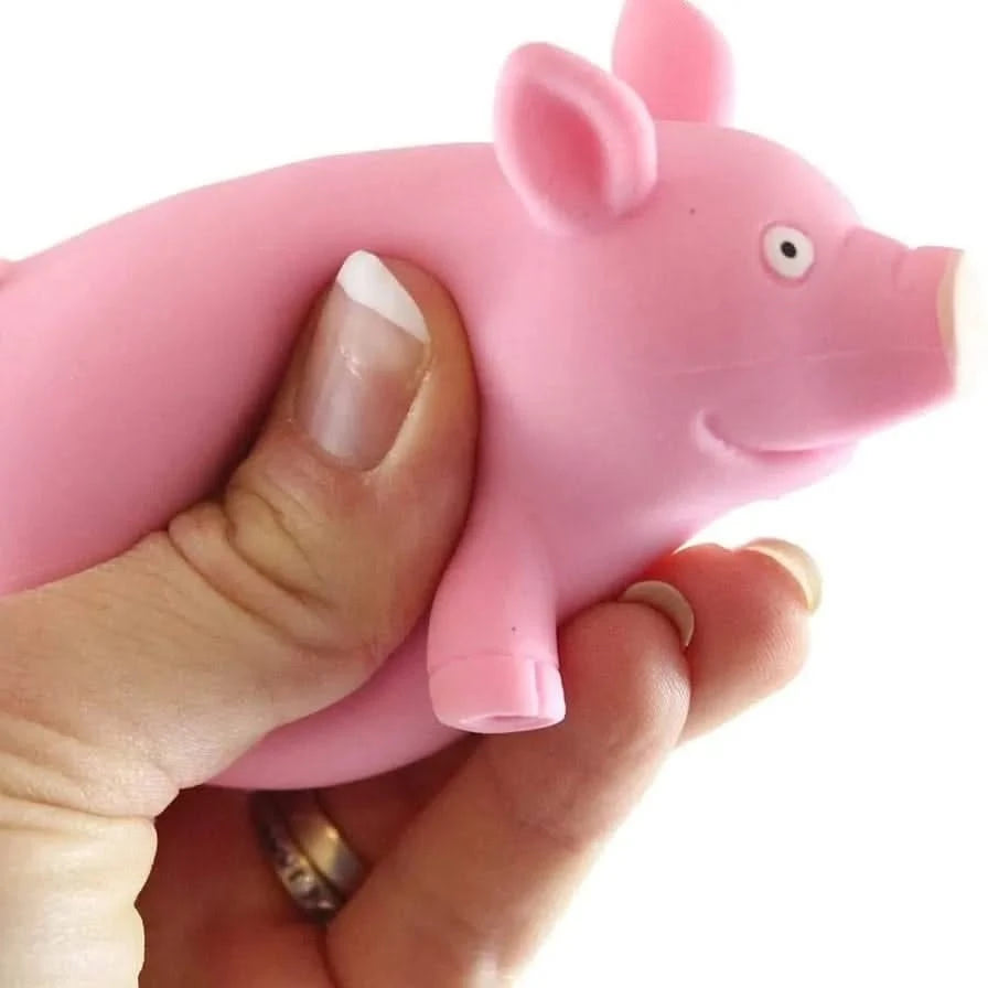 Squishy Piggy Toy-Squishy Piggy Toy