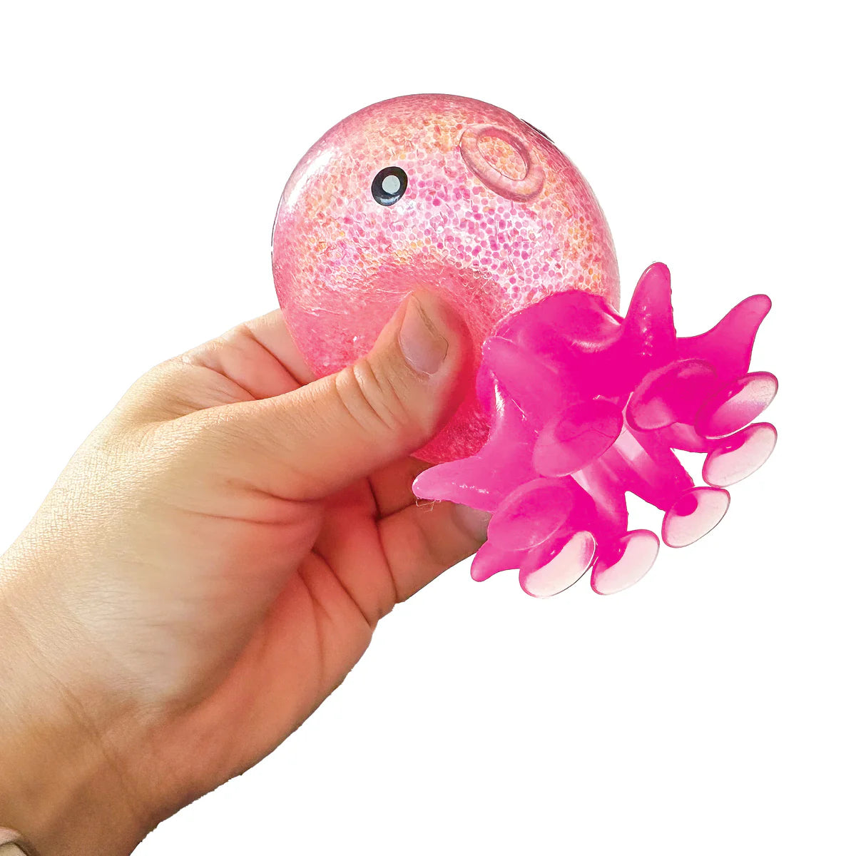 Squishy Sensory Sucker Pals-Squishy Sensory Sucker Pals