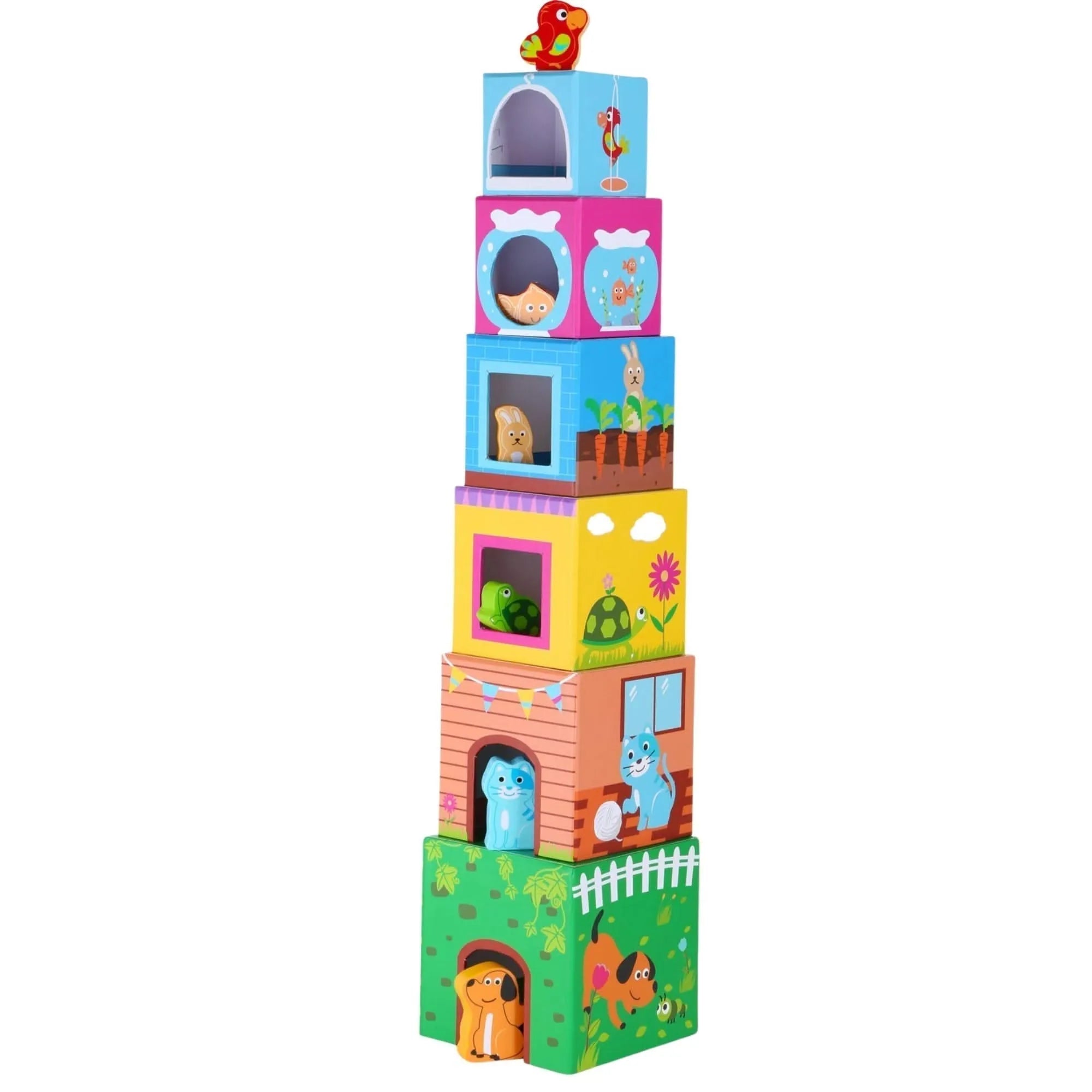 Stacking Cubes with Pets-Stacking Cubes with Pets