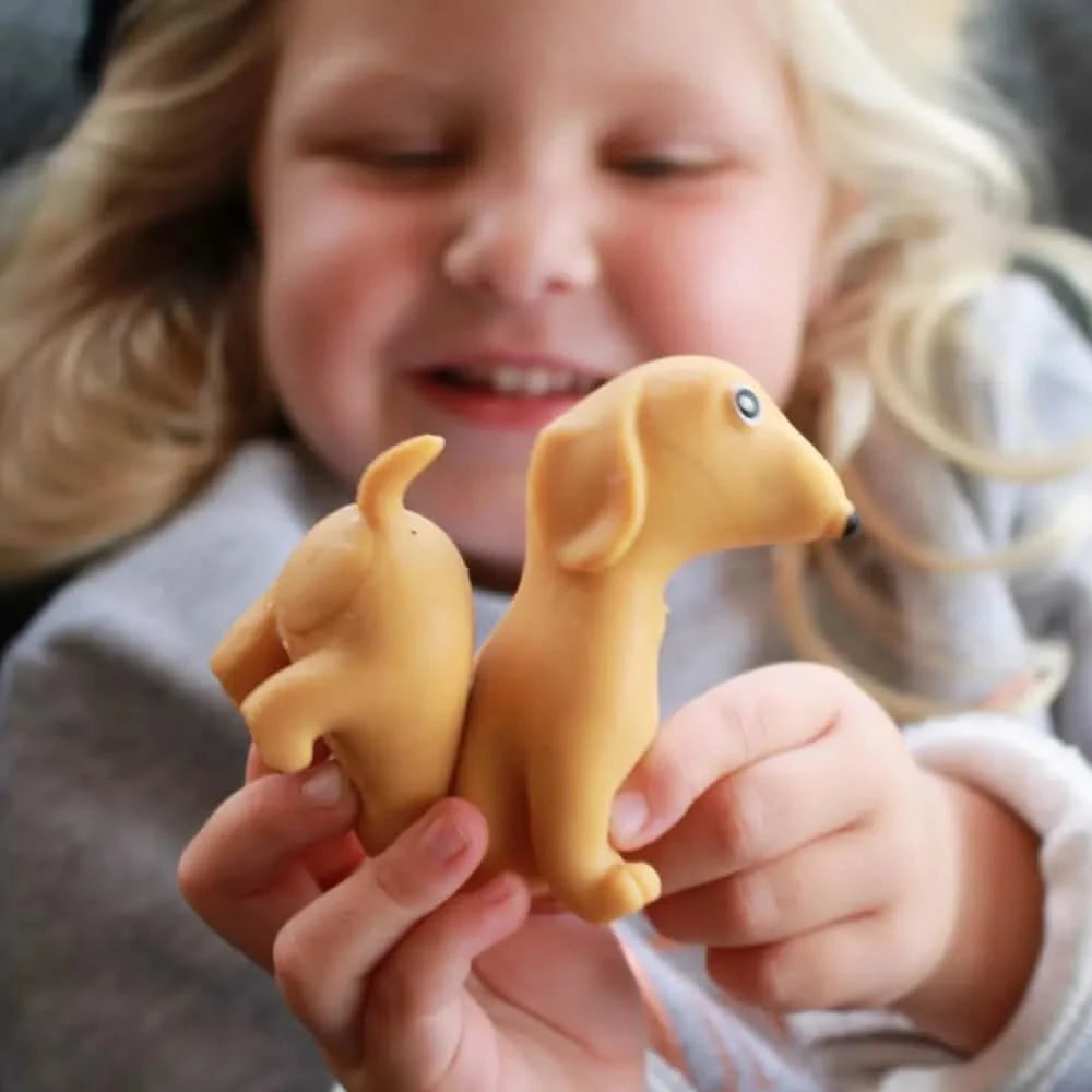 Stretchy Sausage Dog Fidget Toy-Stretchy Sausage Dog Fidget Toy