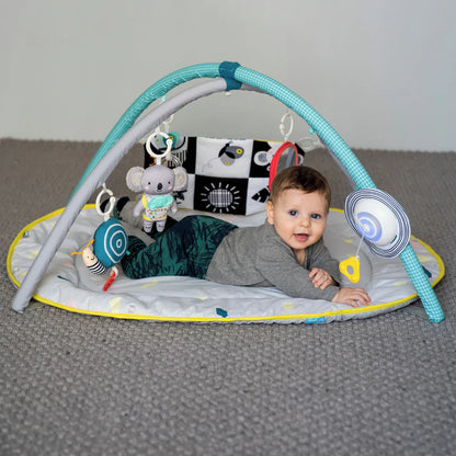 Taf Toys All Around Me Gym-Taf Toys All Around Me Gym