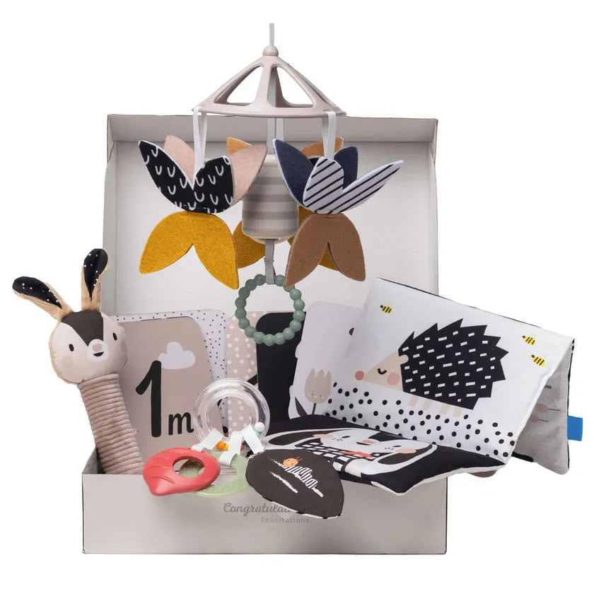 Taf Toys Black & White Newborn Kit-Taf Toys Black & White Newborn Kit