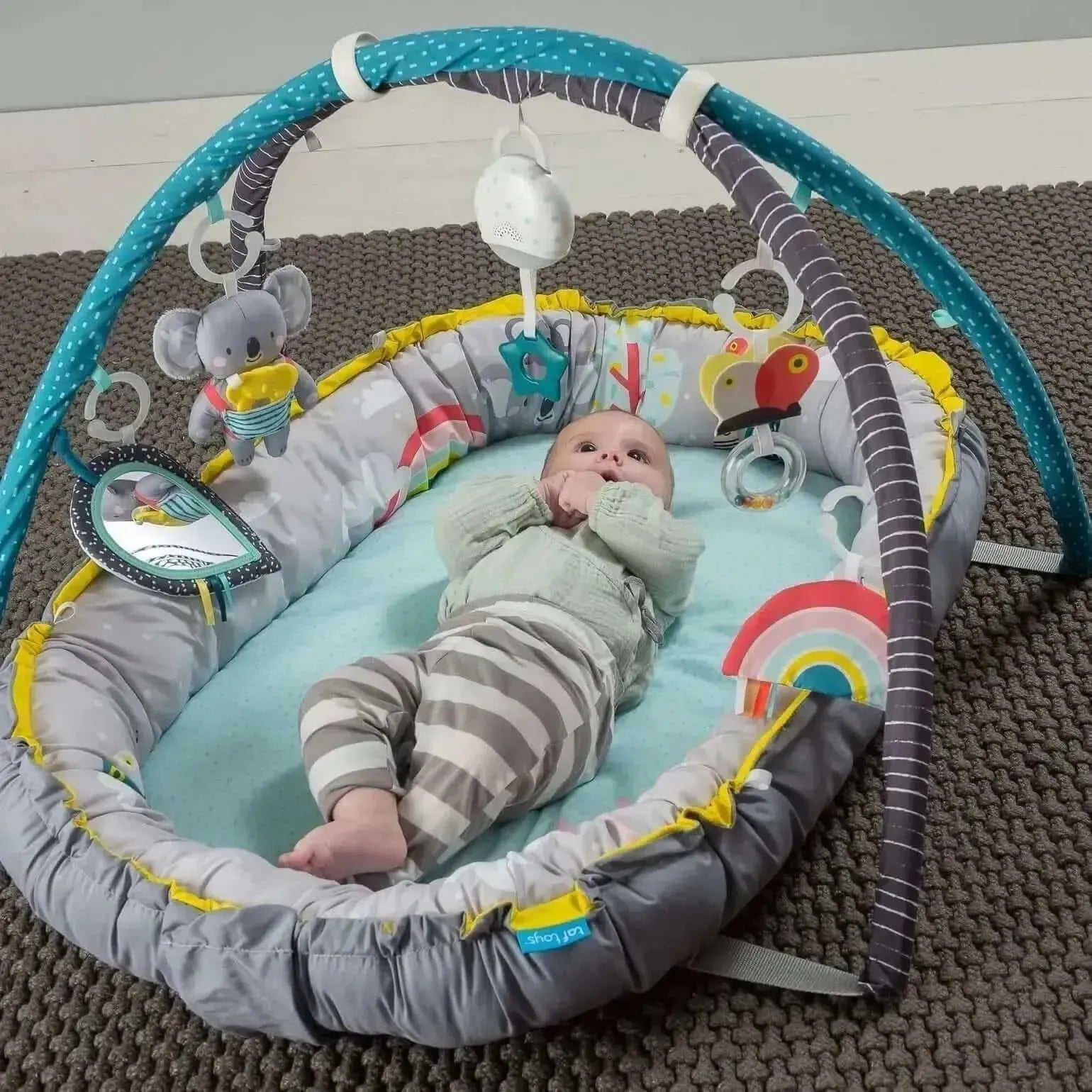 Taf Toys Koala Musical Cosy Gym-Taf Toys Koala Musical Cosy Gym
