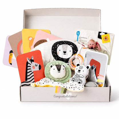 Taf Toys Newborn Kit Gift Set-Taf Toys Newborn Kit Gift Set