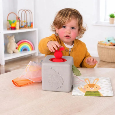 Taf Toys Pop-up Tissue Box-Taf Toys Pop-up Tissue Box