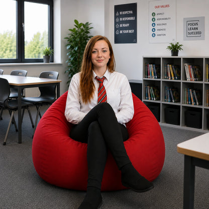 Teenage Classic Beanbag-Teenage Classic Beanbag