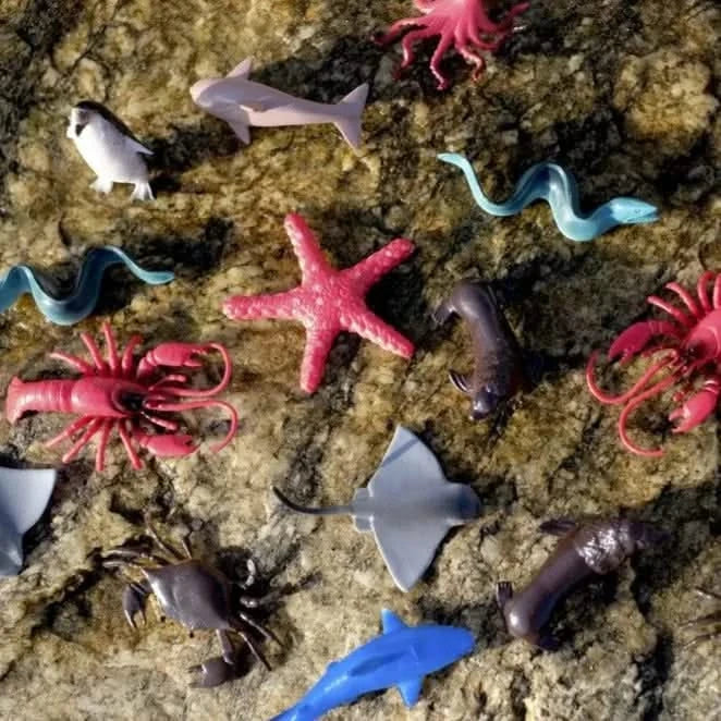 Terra Sea Animals in Tube-Terra Sea Animals in Tube